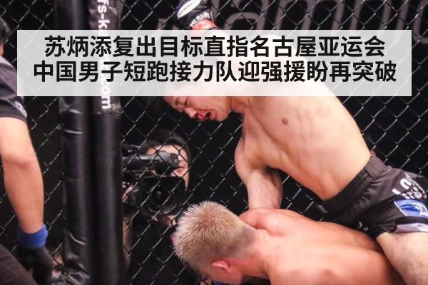 苏炳添复出目标直指名古屋亚运会 中国男子短跑接力队迎强援盼再突破（jiuyou game）