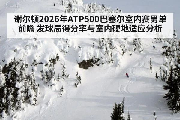 谢尔顿2026年ATP500巴塞尔室内赛男单前瞻 发球局得分率与室内硬地适应分析